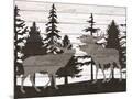 Wood Mount