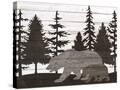 Stretched Canvas