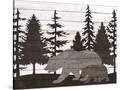 Stretched Canvas