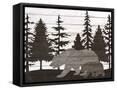Framed Canvas