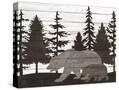 Stretched Canvas