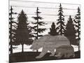 Wood Mount