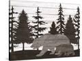 Stretched Canvas