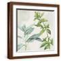 Brown Frame