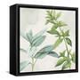 Canvas Black