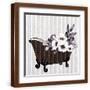 Brown Frame