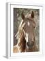 White Frame
