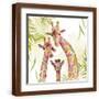 Brown Frame