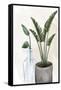 Canvas Black