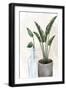 Black Frame