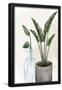 Essential Black