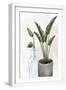 White Frame