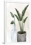 Gramercy White