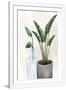 Gramercy White
