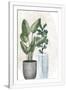 Gramercy White