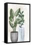 Canvas Black