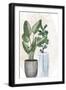 Black Frame