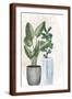 Brown Frame