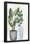 Essential Black