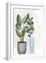 White Frame