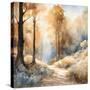 Stretched Canvas