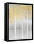 Framed Canvas