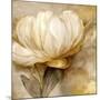 Wood Mount