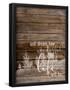 Essential Black