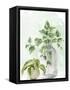 Canvas Black