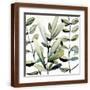 Brown Frame