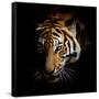Canvas Black