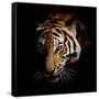 Canvas Black