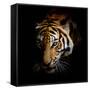 Canvas Black