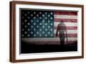 Brown Frame