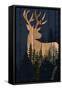 Canvas Black