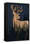 Canvas Black