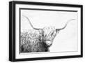 Black Frame