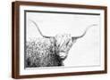Brown Frame
