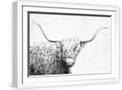 White Frame