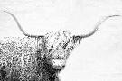 Just the Print