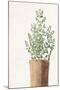 Wood Mount