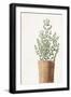 Black Frame
