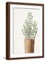 Brown Frame