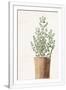 Gramercy White