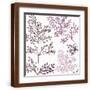 Brown Frame