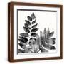 Brown Frame