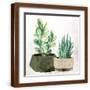 Brown Frame