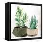Canvas Black