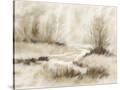 Stretched Canvas