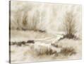 Stretched Canvas